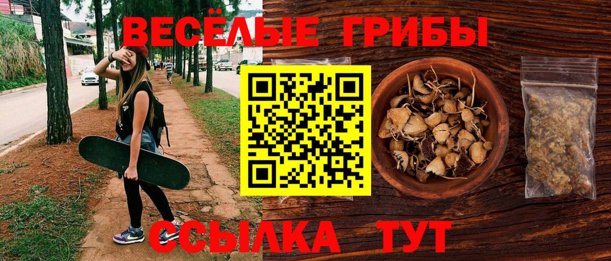 Псилоцибиновые грибы мицелий Приморско-Ахтарск